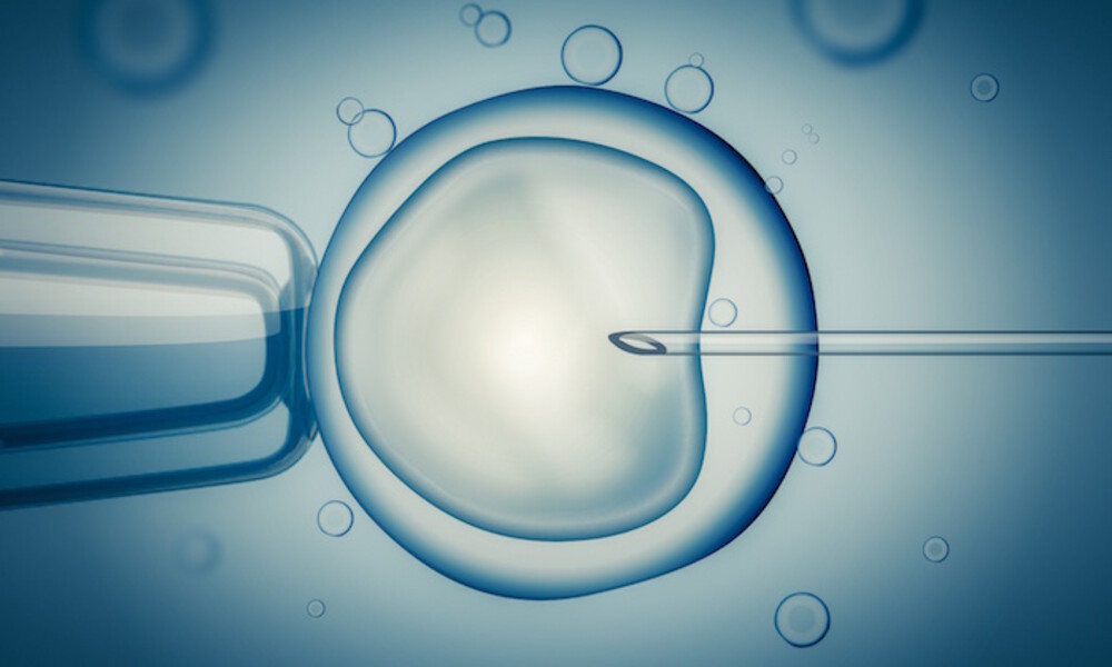 First abortion, now IVF